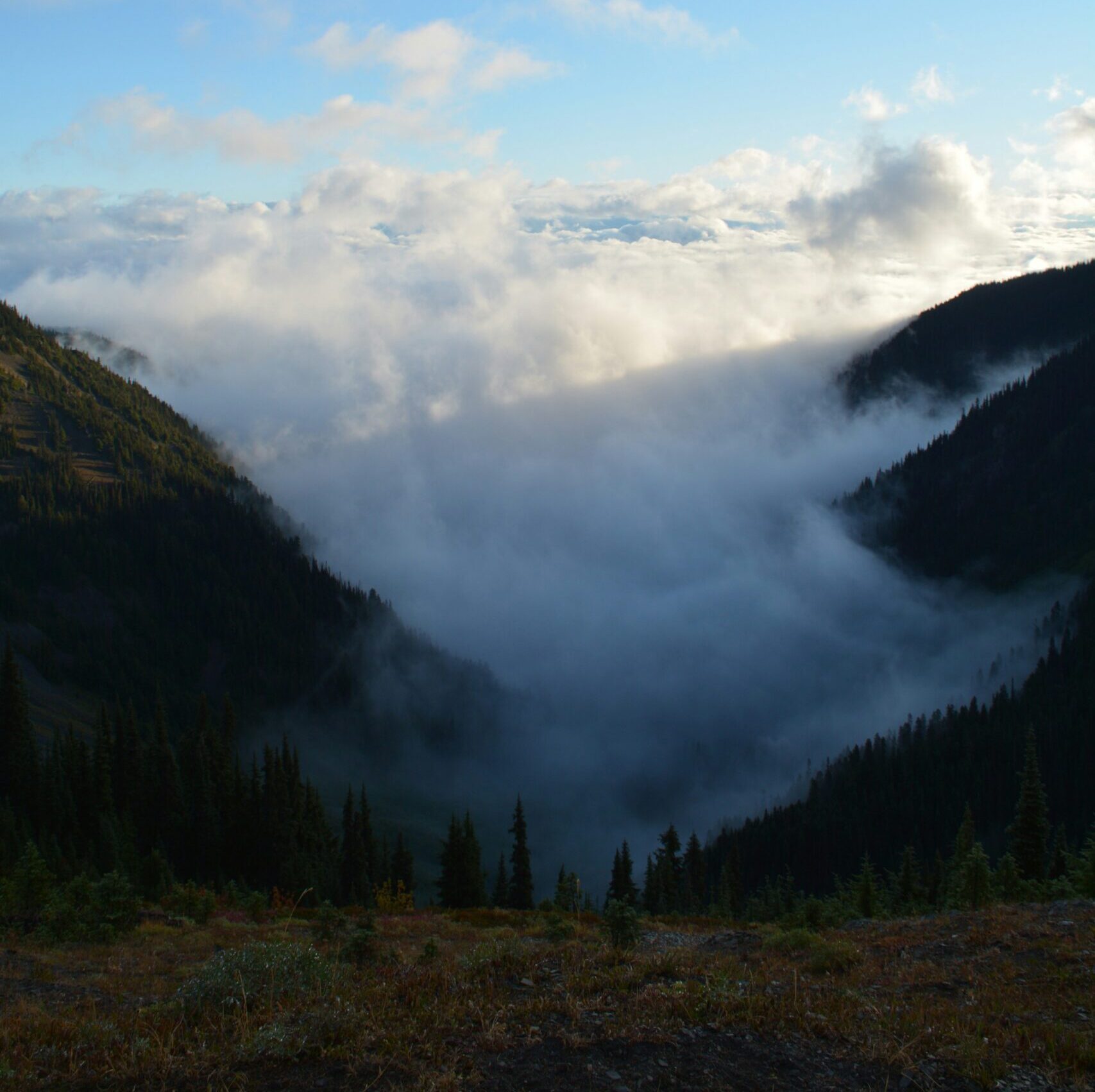 ESG Wrapped 2025: The Year the Fog Cleared
