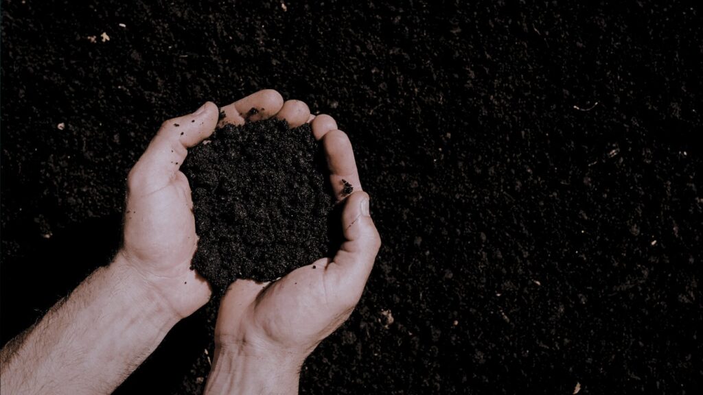 The Green Revolution: Why Biochar is Southeast Asia’s Carbon Solution | Azolla Climate