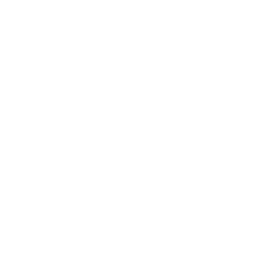 logo white